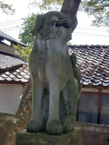 古江神社の狛犬