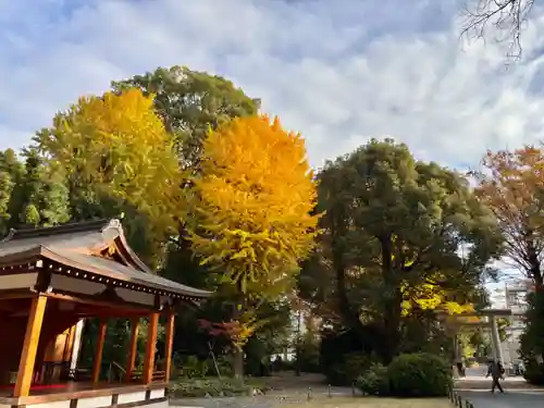 阿佐ヶ谷神明宮(東京都)