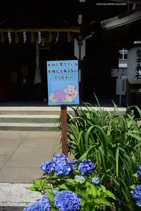 磐井神社(東京都)