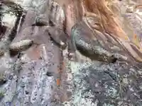 普光寺(大分県)