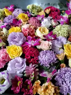 熊野神社(東京都)