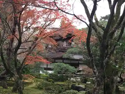 慈照寺（慈照禅寺・銀閣寺）(京都府)