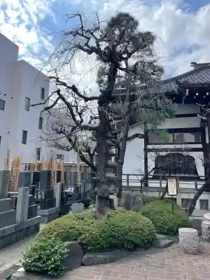 妙清寺の{uncategorized: "未分類", other: "その他", undefined: "問題あり", building: "その他建物", grave: "お墓", sacred_gate: "鳥居", guardian: "狛犬", statue: "像", buddha: "仏像", history: "歴史", nature: "自然", garden: "庭園", animal: "動物", pagoda: "塔", temizu: "手水舎", mountain_gate: "山門・神門", sanctuary: "本殿・本堂", subordinate: "末社・摂社", art: "芸術", scenery: "景色", jizo: "地蔵", ema: "絵馬", goshuin: "御朱印", omikuji: "おみくじ", items: "授与品その他", amulet: "お守り", goshuincho: "御朱印帳", eats: "食事", festival: "お祭り", votive_dance: "神楽", shichigosan: "七五三参", wedding: "結婚式", experience: "体験その他", initially: "初詣", around: "周辺", anti_infection: "感染症対策"}