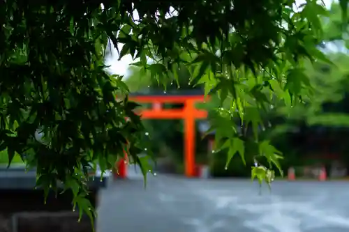 枚聞神社(鹿児島県)