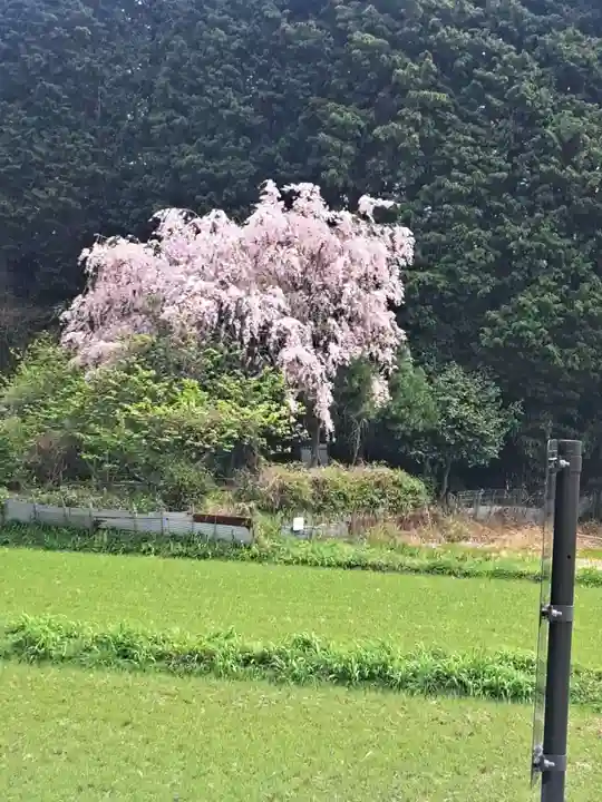 高天彦神社(奈良県)
