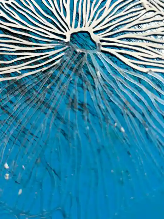 妙泉寺(岐阜県)