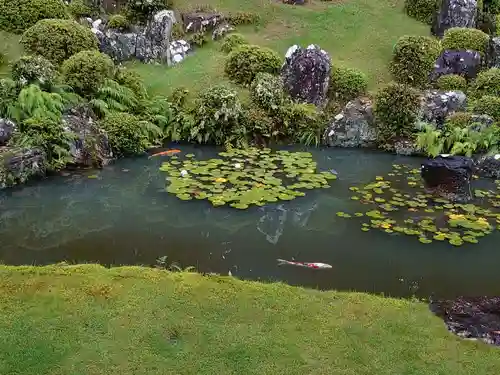 龍潭寺の庭園