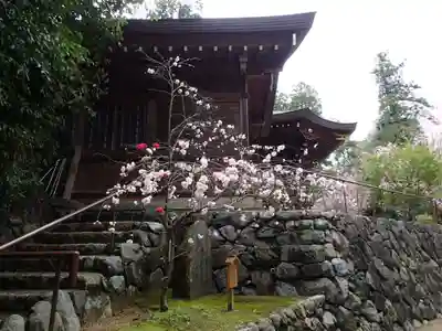 飛鳥坐神社の本殿・本堂