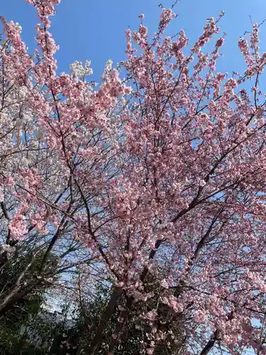 鳥出神社(三重県)