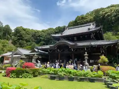 三室戸寺の本殿・本堂