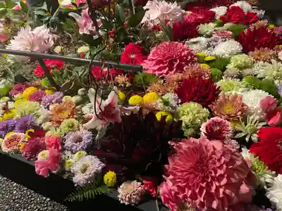 武蔵野坐令和神社(埼玉県)