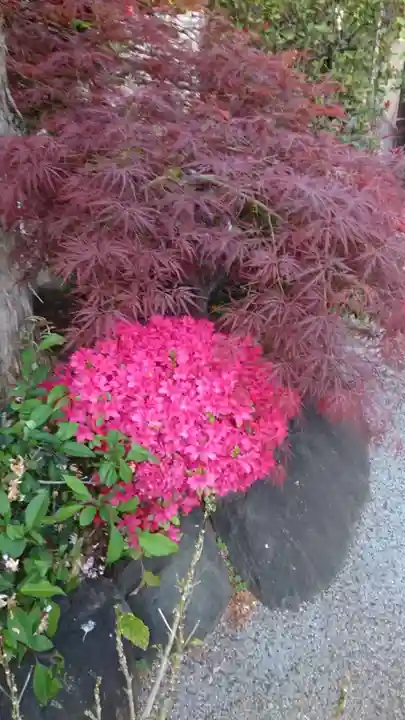 感通寺(東京都)