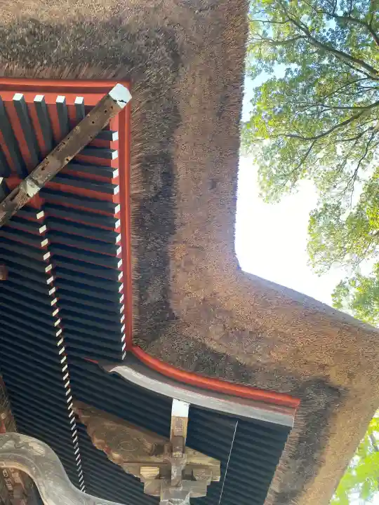 達磨寺の{uncategorized: "未分類", other: "その他", undefined: "問題あり", building: "その他建物", grave: "お墓", sacred_gate: "鳥居", guardian: "狛犬", statue: "像", buddha: "仏像", history: "歴史", nature: "自然", garden: "庭園", animal: "動物", pagoda: "塔", temizu: "手水舎", mountain_gate: "山門・神門", sanctuary: "本殿・本堂", subordinate: "末社・摂社", art: "芸術", scenery: "景色", jizo: "地蔵", ema: "絵馬", goshuin: "御朱印", omikuji: "おみくじ", items: "授与品その他", amulet: "お守り", goshuincho: "御朱印帳", eats: "食事", festival: "お祭り", votive_dance: "神楽", shichigosan: "七五三参", wedding: "結婚式", experience: "体験その他", initially: "初詣", around: "周辺", anti_infection: "感染症対策"}