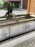 難波大社 生國魂神社の手水舎