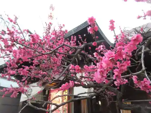 千束稲荷神社(東京都)