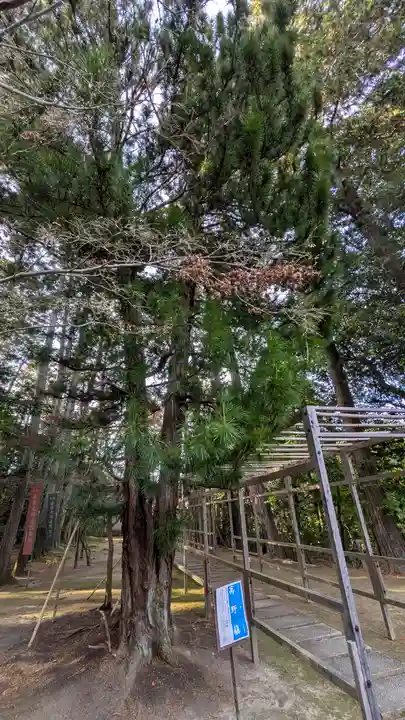 安養寺(滋賀県)