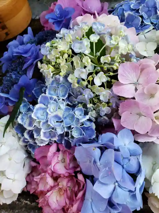 本郷氷川神社(東京都)