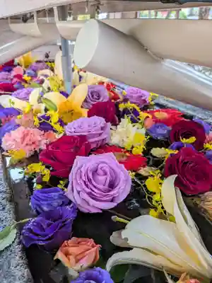 鳩森八幡神社(東京都)