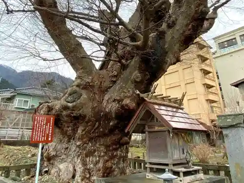 住吉神社（彌彦神社境外末社）の建物その他