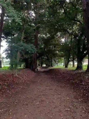 天降神社(千葉県)