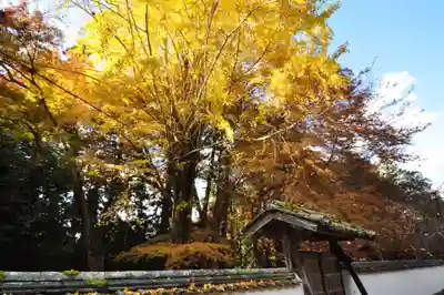 如法寺(愛媛県)