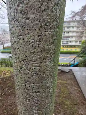 愛宕神社(東京都)
