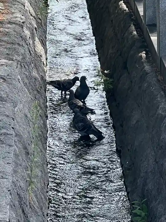 善光寺(長野県)