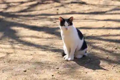玉野御嶽神社(愛知県)