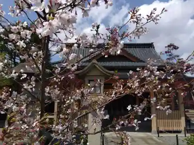 總社 和田八幡宮(福井県)
