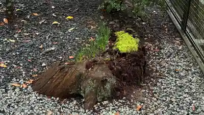 相馬太田神社(福島県)
