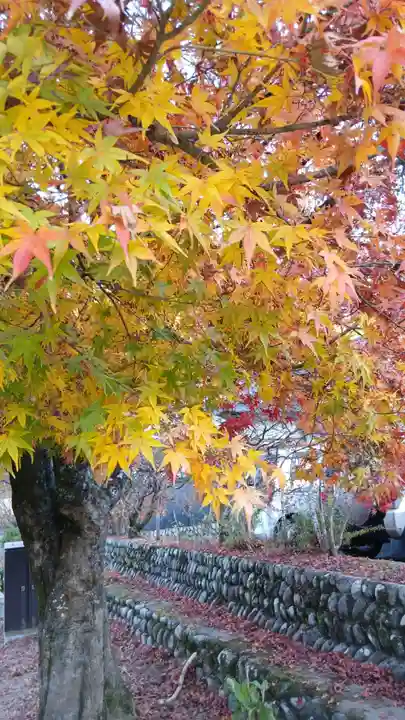 足助八幡宮(愛知県)