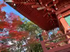 柏原八幡宮の景色