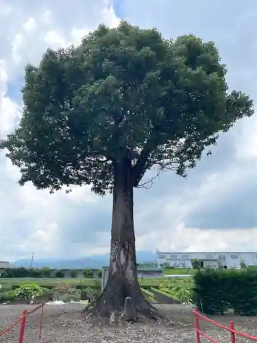 稲荷神社(三重県)