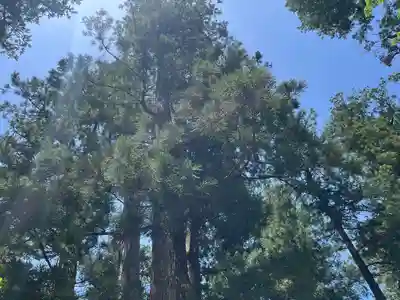 伊勢神宮内宮（皇大神宮）(三重県)