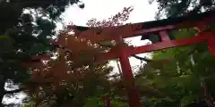 鍬山神社(京都府)