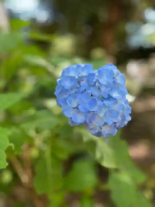 前原御嶽神社(千葉県)