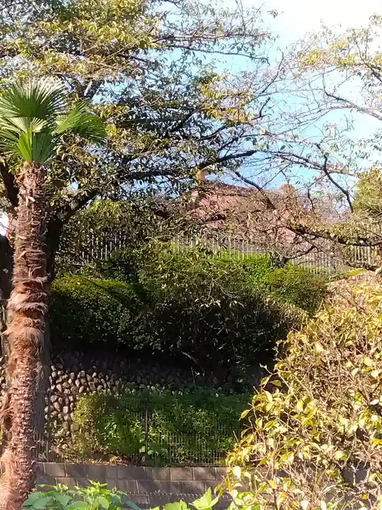 長楽寺(東京都)