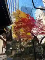 虎ノ門金刀比羅宮(東京都)