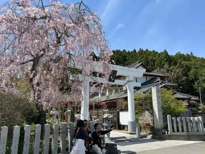 金蛇水神社の{uncategorized: "未分類", other: "その他", undefined: "問題あり", building: "その他建物", grave: "お墓", sacred_gate: "鳥居", guardian: "狛犬", statue: "像", buddha: "仏像", history: "歴史", nature: "自然", garden: "庭園", animal: "動物", pagoda: "塔", temizu: "手水舎", mountain_gate: "山門・神門", sanctuary: "本殿・本堂", subordinate: "末社・摂社", art: "芸術", scenery: "景色", jizo: "地蔵", ema: "絵馬", goshuin: "御朱印", omikuji: "おみくじ", items: "授与品その他", amulet: "お守り", goshuincho: "御朱印帳", eats: "食事", festival: "お祭り", votive_dance: "神楽", shichigosan: "七五三参", wedding: "結婚式", experience: "体験その他", initially: "初詣", around: "周辺", anti_infection: "感染症対策"}