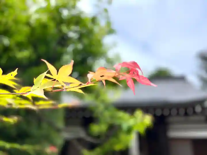 小泉寺(長野県)