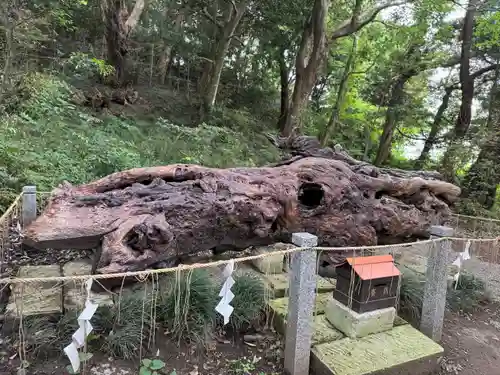 泉神社(茨城県)
