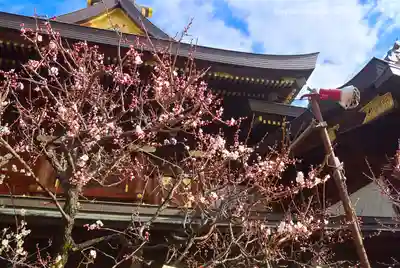 湯島天満宮(東京都)