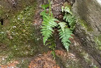 諏訪大社(長野県)