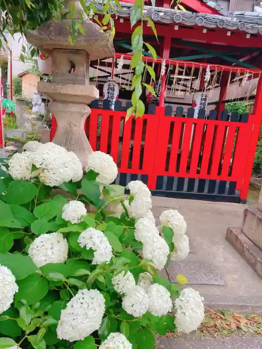 金札宮(京都府)