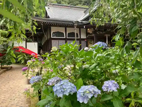 本土寺(千葉県)