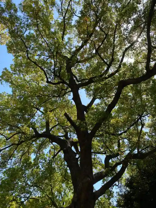 王子神社(東京都)