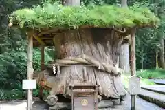 小國神社(静岡県)