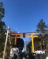 川越氷川神社(埼玉県)