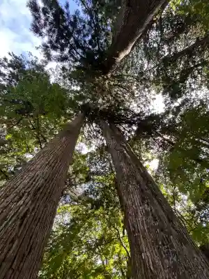 富士山東口本宮 冨士浅間神社(静岡県)