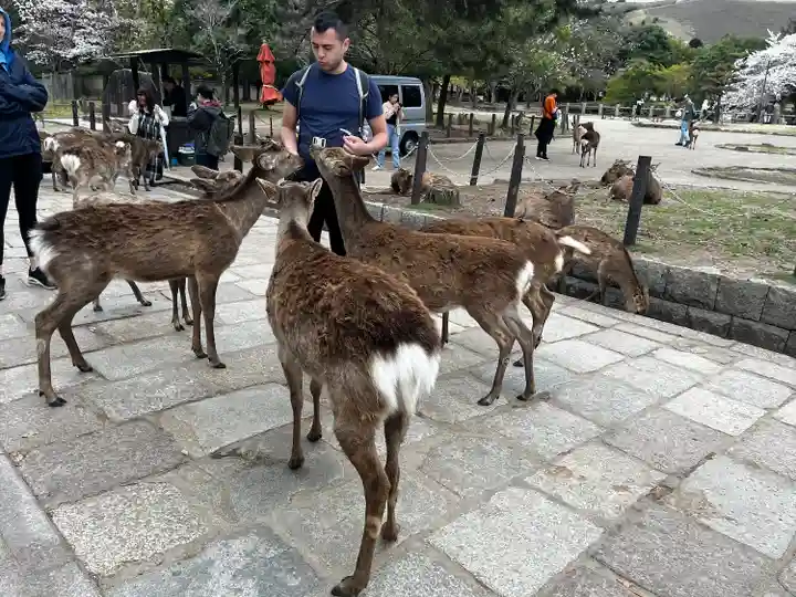 東大寺(奈良県)